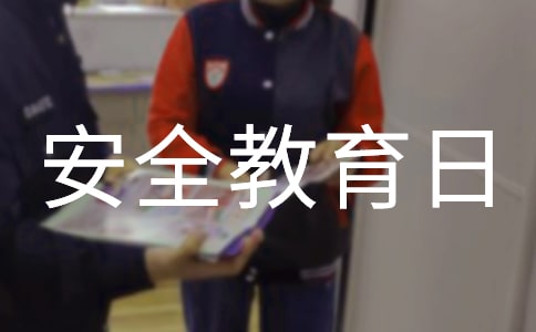 安全教育日活动总结14篇