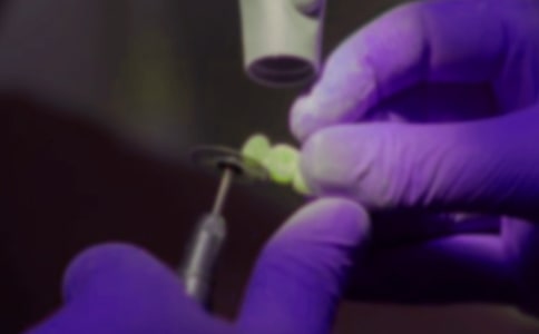 大班表演游戏老虎拔牙教案