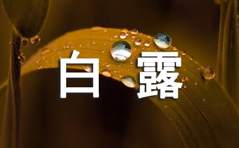 暖心白露祝福语