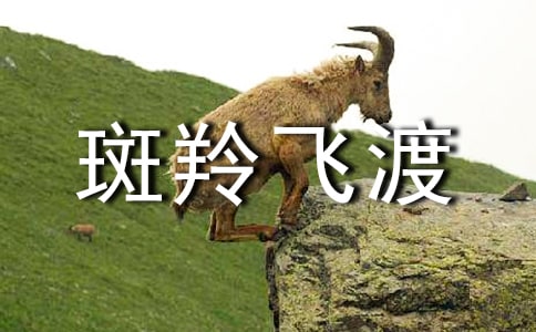 《斑羚飞渡》读书心得体会