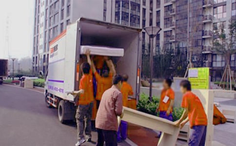 中班小熊搬家社会教案