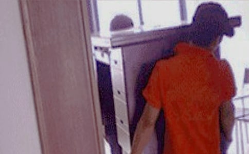 中班健康小兔搬家教案