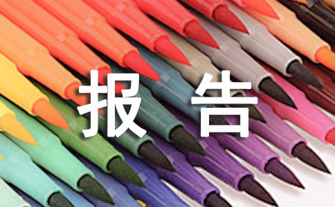 新人试用期报告