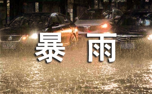 《在烈日和暴雨下》教学反思