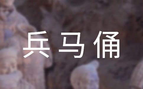 (集合)秦兵马俑教学反思