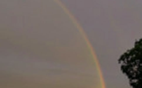 小班语言彩虹教案