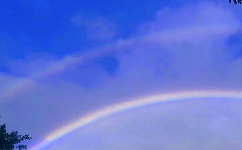 《彩虹色的花》教学反思