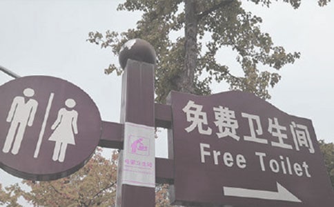 世界厕所日活动总结范文集锦6篇