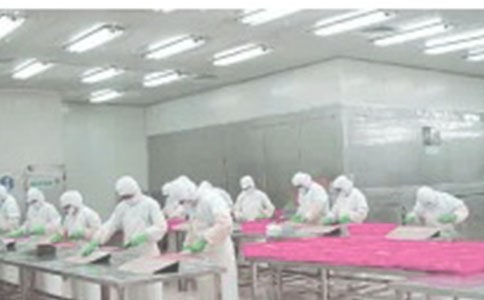 车间厂房租赁合同范本通用版