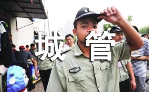 城管中队工作总结