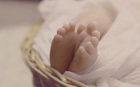 大班科学教案：出生的秘密