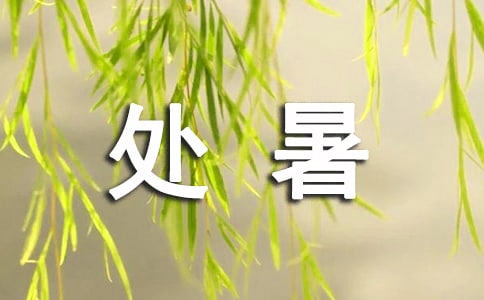 给同事的处暑问候语汇总50句精选