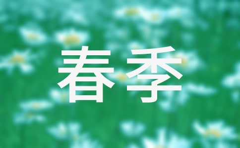 中班春季教学工作总结