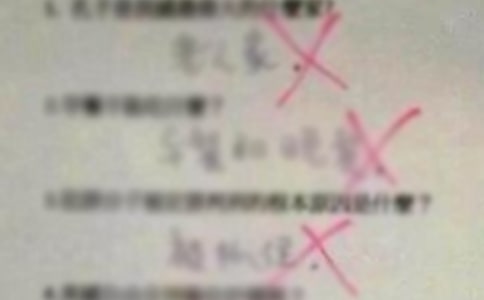 个人工作错误检讨书