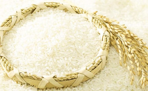 关于大米购销合同范本