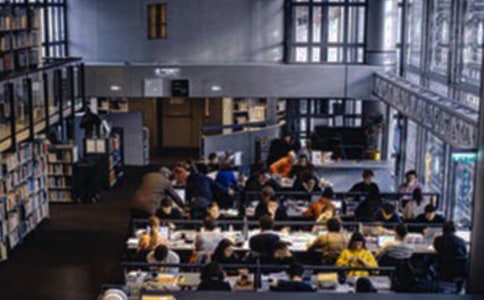 大学生社会实践心得体会范文(15篇)