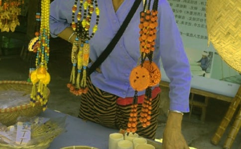 傣族说课稿