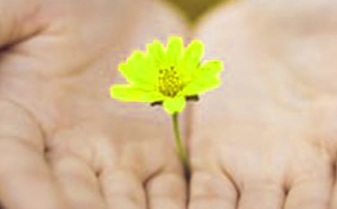 道歉个性说说留言（通用30句）