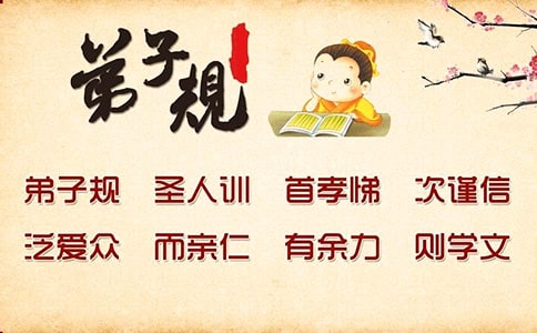 （优秀）《弟子规》读后感15篇