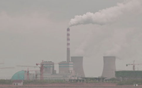 电厂实习报告模板锦集八篇