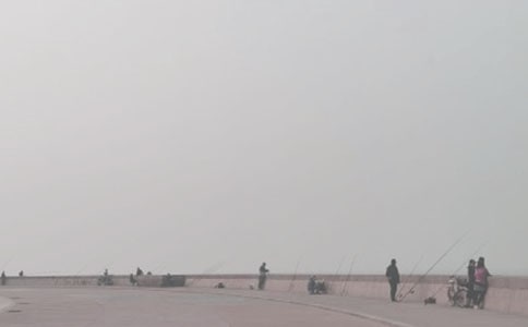 钓鱼的启示教学反思集合15篇