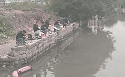 小猫钓鱼读后感