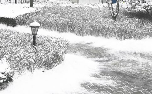 《漫长的冬季》读后感