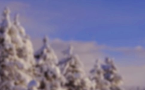 中班主题教案：快乐的冬天教案及教学反思