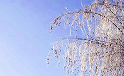 冬天留言汇总(通用50句)