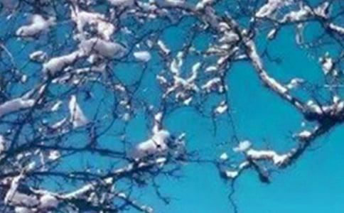 关于冬天说说感言（精选40句）