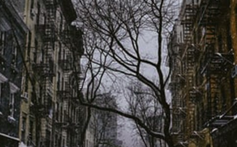 济南的冬天教学反思精华（15篇）