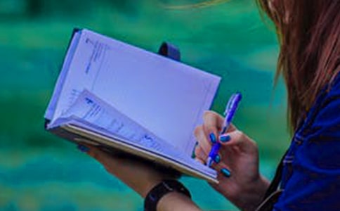 红楼春趣读后感