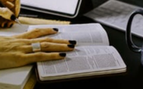 西游记读后感14篇[推荐]