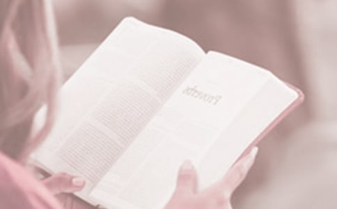 幼儿园世界读书日活动总结