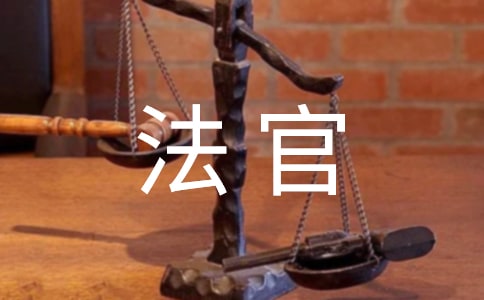 法官年终个人总结