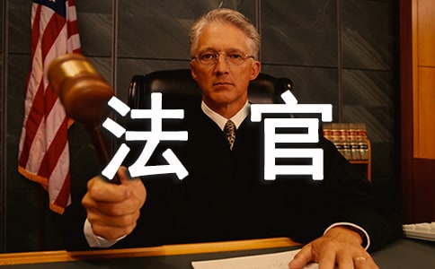 法官年度个人工作总结