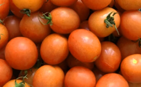 《番茄太阳》教学设计