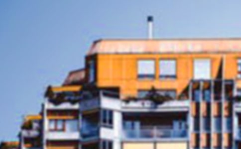 大班语言活动小老鼠找房子教案