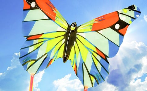 鲁迅《风筝》读后感