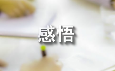 以法为盾守护湿地心得感悟