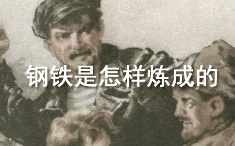 《钢铁是怎样炼成的》读后感14篇