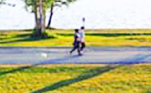 《侏罗纪公园》观后感[合集8篇]