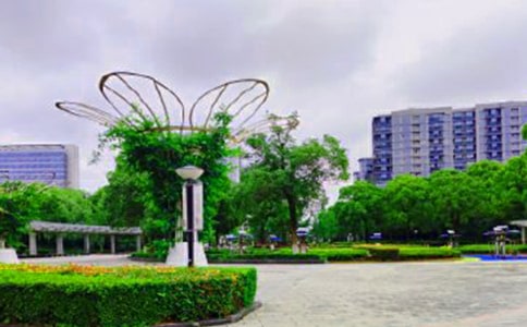 大班社会乡下老鼠逛公园教案