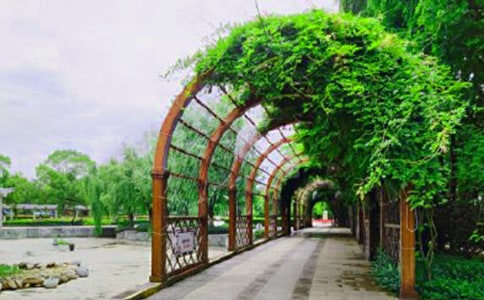 小班语言活动：公园里