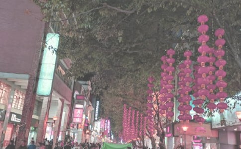 (推荐)时代广场的蟋蟀读后感