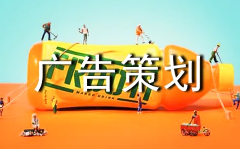 网络广告策划方案