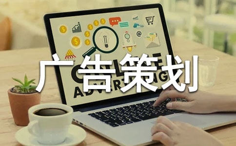 网络广告策划书