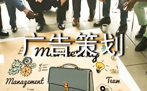 网络广告策划书15篇
