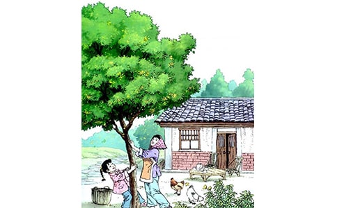 《桂花雨》教学反思【推荐】