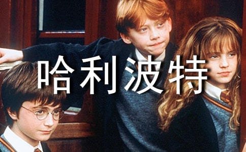 （合集）《哈利波特》读后感13篇
